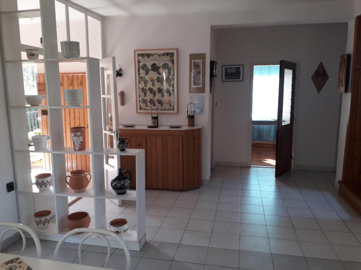 Julia Vendeghaz Apartament